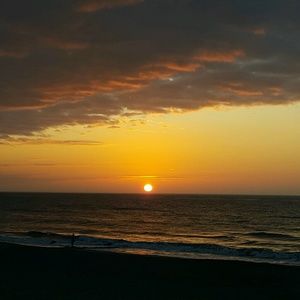 Meet your Posher, Lira